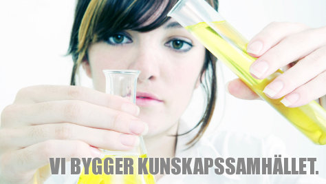 Text: Vi bygger kunskapssamhället